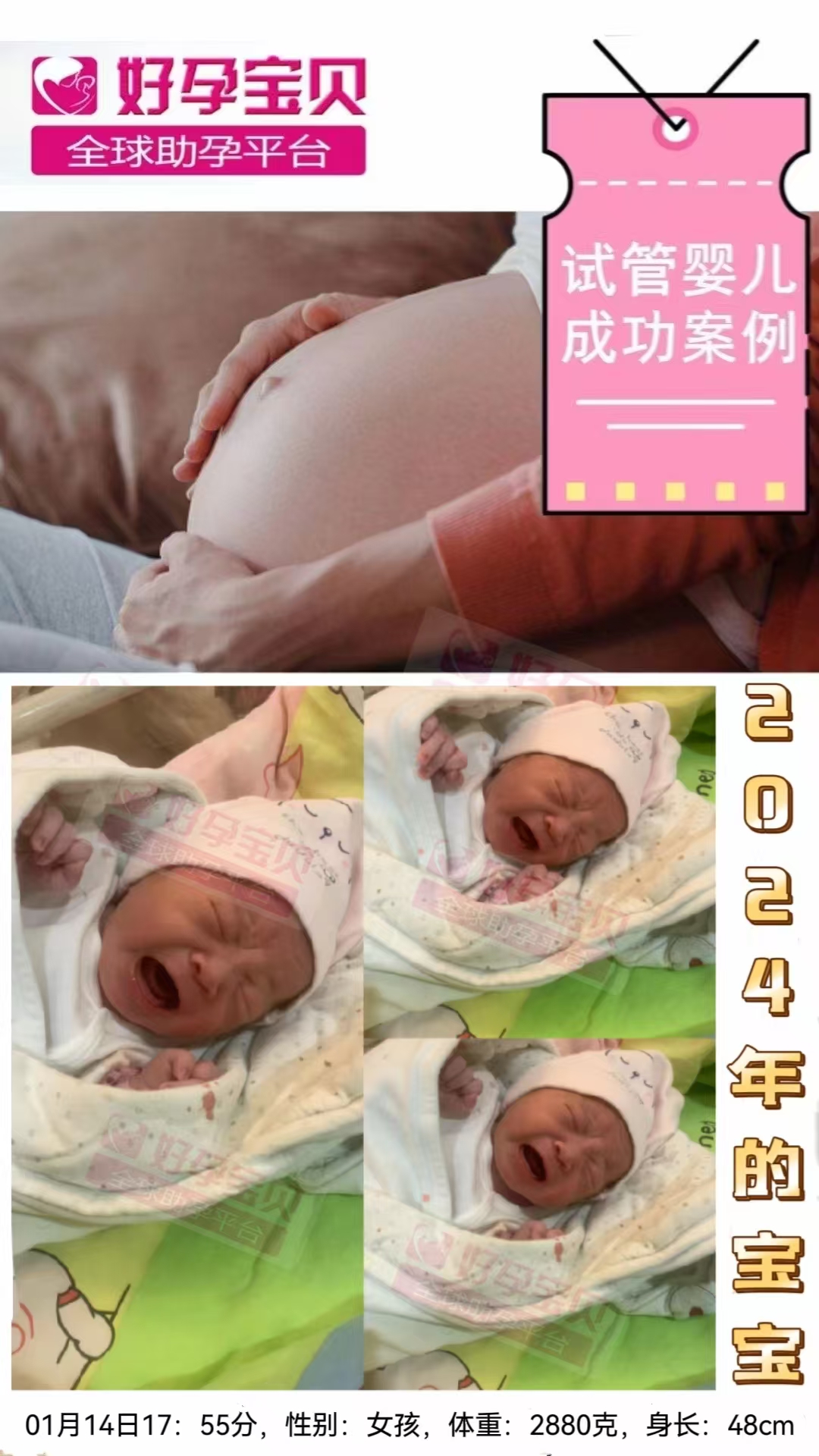 微信图片_20241115141806.jpg